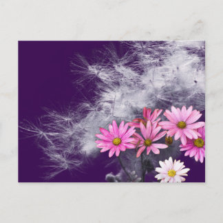 Postcard Postcard Flowers and Thistle Seeds