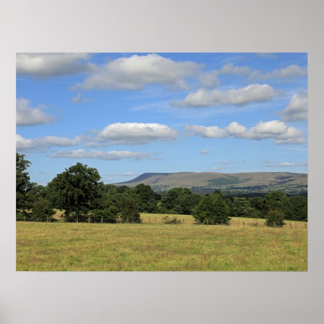 Postcard Poster (Front)