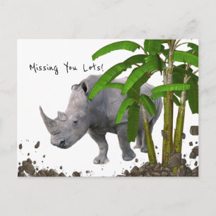 Postcard Rhinoceros Missing you lots!