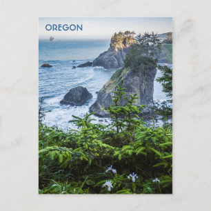 Postcard: Sea Stacks And Iris (Portrait) Postcard