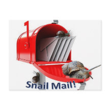 Postcard Snail Mail
