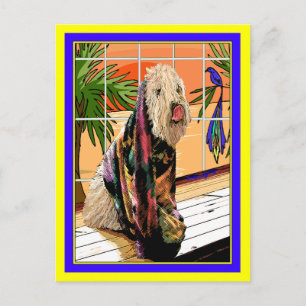 Postcard:  Soft Coated Wheaten Terrier At the Spa Postcard