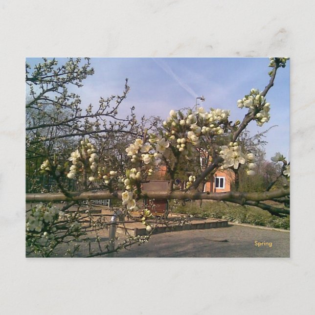 Postcard Spring (Front)