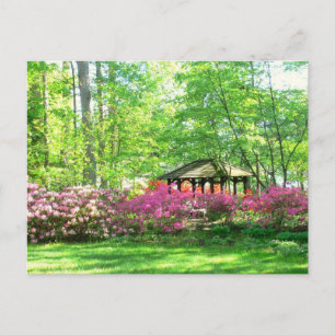 postcard, "Springtime At Toledo Botanical Garden" Postcard