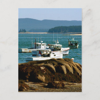 Postcard Stonington, Maine