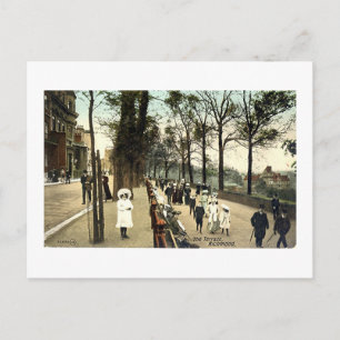 Postcard, The Terrace, Richmond, Surrey Postcard