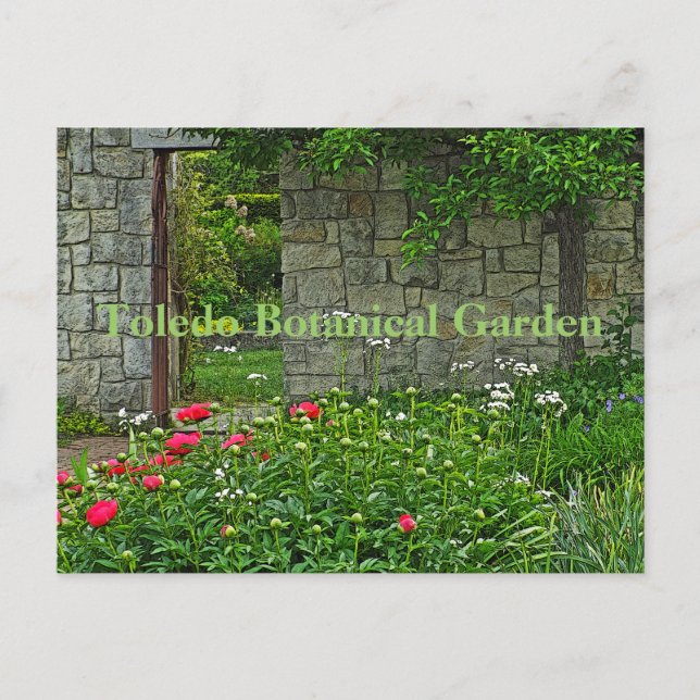 postcard, TOLEDO BOTANICAL GARDEN Postcard (Front)