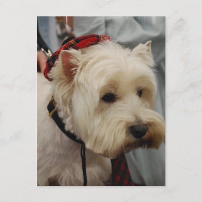 Postcard Vertical Template - Customized (Front)