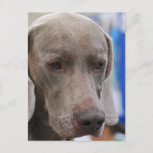 Postcard Vertical Template - Customized