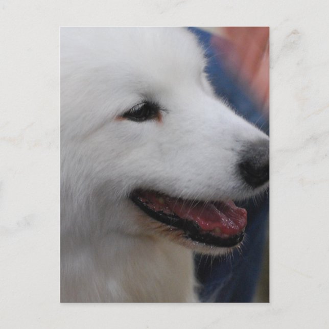 Postcard Vertical Template - Customized (Front)