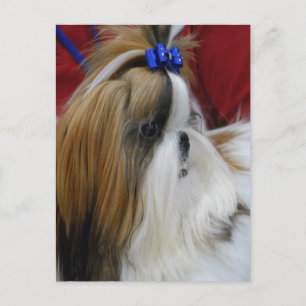 Postcard Vertical Template - Customized