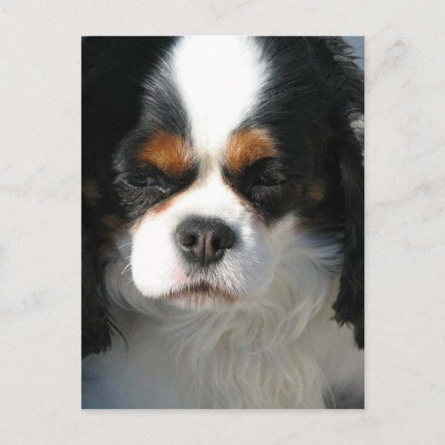 Postcard Vertical Template - Customized (Front)