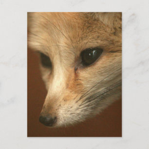 Postcard Vertical Template - Customized