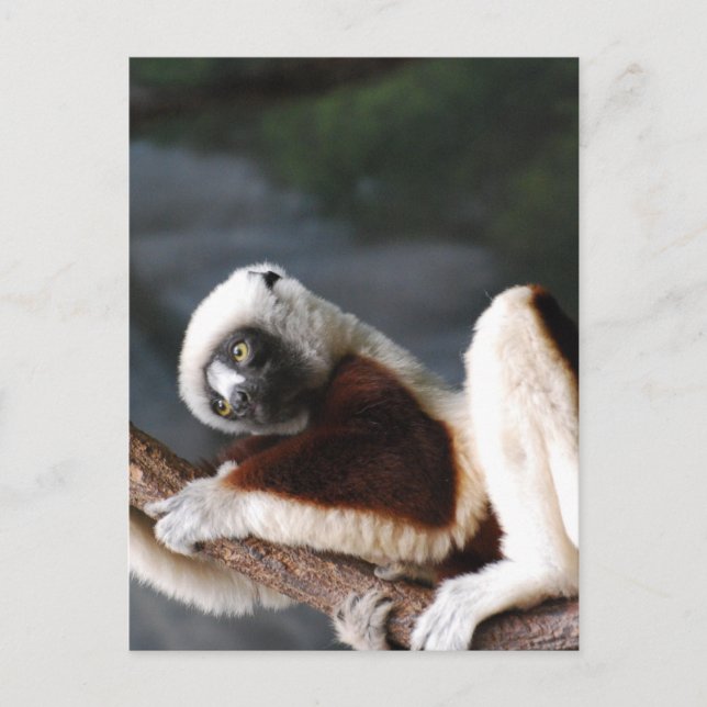 Postcard Vertical Template - Customized (Front)