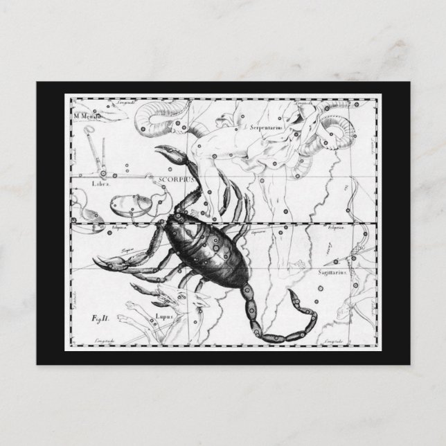 Postcard-Vintage Astrology/Divination 9 Postcard (Front)