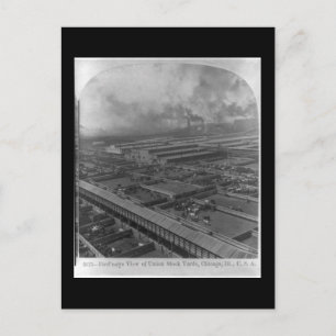 Postcard-Vintage Chicago Art-Union Stock Yards Postcard
