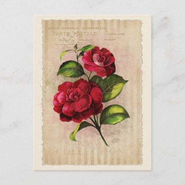 Postcard Vintage Collection - Vol.3 - Postcard (Front)