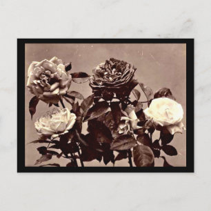Postcard-Vintage Photography-Adolphe Braun 4 Postcard