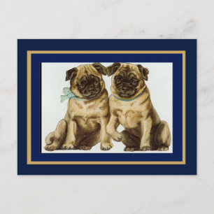 Postcard Vintage Pug Dogs