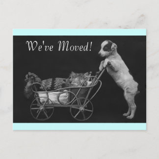 Postcard Vintage Sweet Pets We've Moved  Address