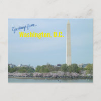 Postcard - Washington Monument and Cherry Blossoms