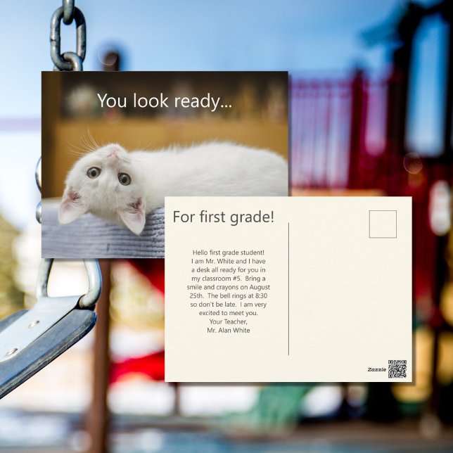 Postcard White Kitten Welcome Back to School (Creator Uploaded)
