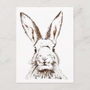 Postcard - Wild Hare