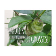 Postcard with Caterpillar & Humor 