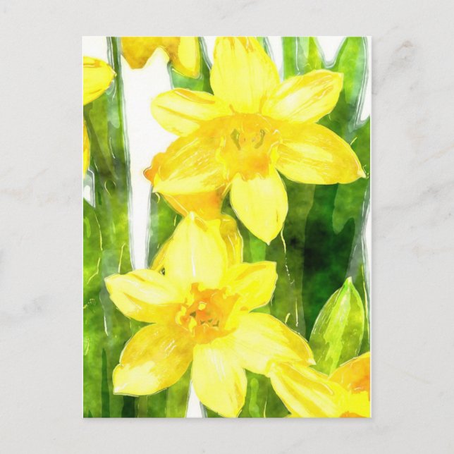 Postcard with Daffodils in watercolor (Front)