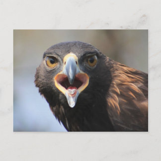Postcard with Golden Eagle
