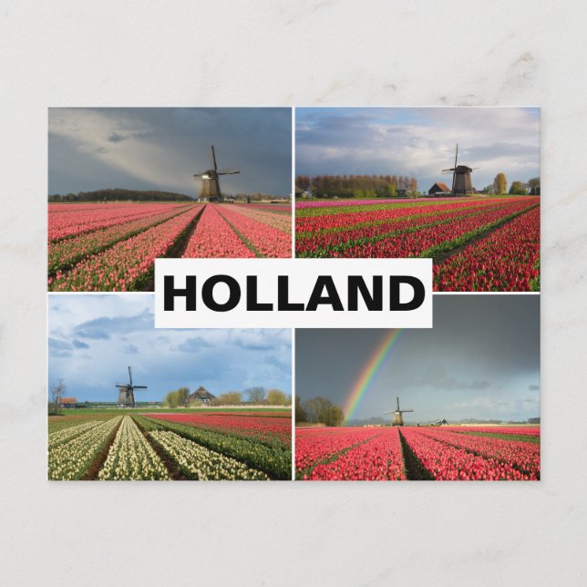 Postcard with Holland in spring mill collage (Front)