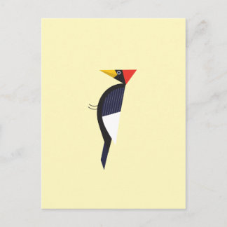 postcard with Ivory billed woodpecker spring gift