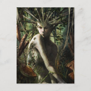 Postcards
