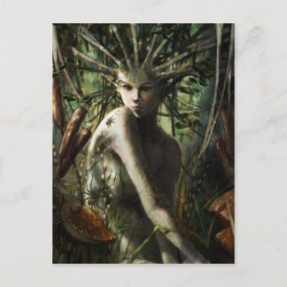 Postcards