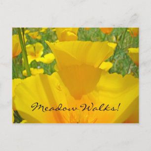Postcards Custom Meadow Walks! Poppy Flowers