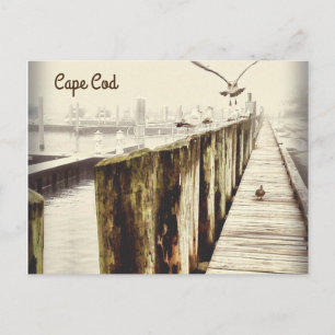 Postcards from Cape Cod (Seagull Harbour)