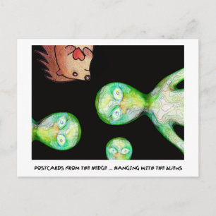 POSTCARDS FROM THE hEDGE!