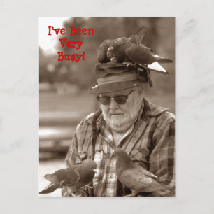 Postcards Greetings fun pigeons birds on man