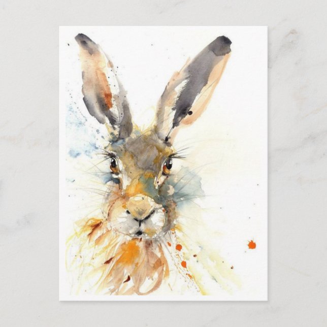 Postcards - Hare Today Gone Tomorrow! (Front)