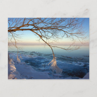 Postcards,Lake Ontario, Ice Cold. Postcard