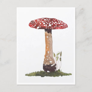 Postcards - Study Fly Agaric Mushroom Watercolor