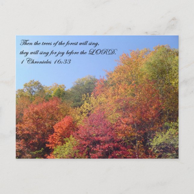 Postcards: Trees Sing Postcard (Front)