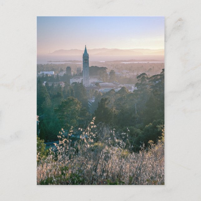 Postcards: University of California, Berkeley Postcard (Front)