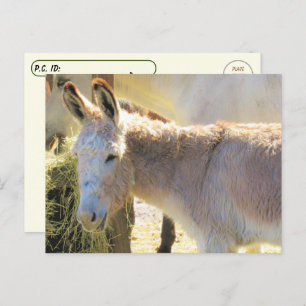 Postcroisement - Carte postale Adorable Donkey