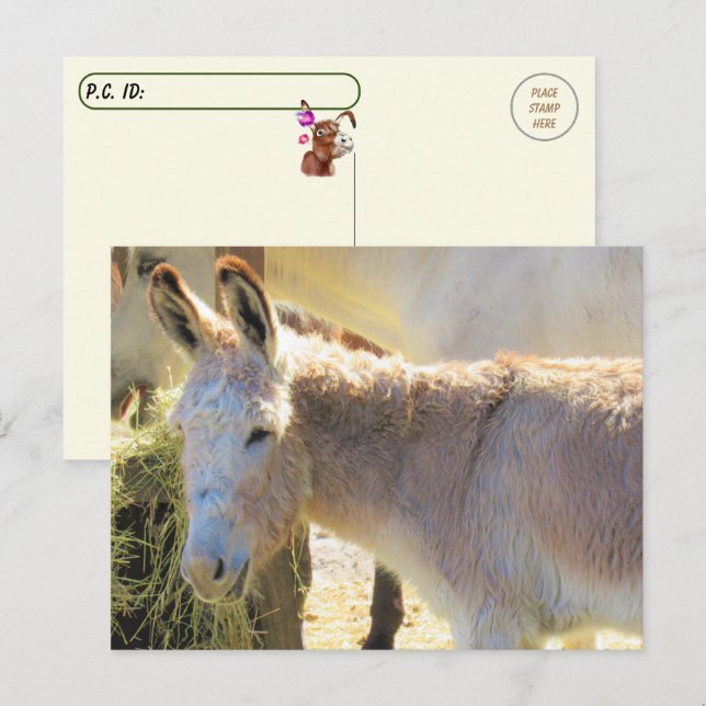Postcroisement - Carte postale Adorable Donkey (Devant / Derrière)