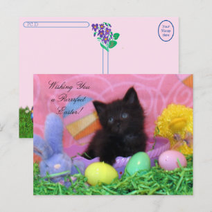 Postcrossing - Angel the Kitten's Easter Wishes Postcard