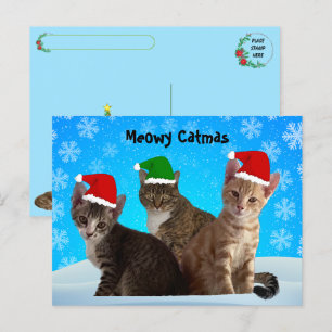Postcrossing -Annie, Taz, and Tito - Cat Christmas Holiday Postcard