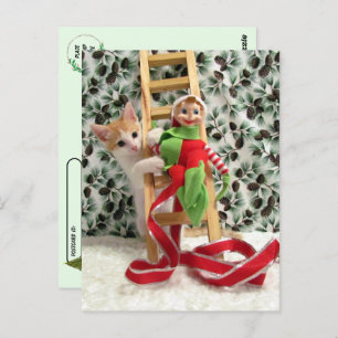 Postcrossing - Annie the Cat and the Christmas Elf Postcard