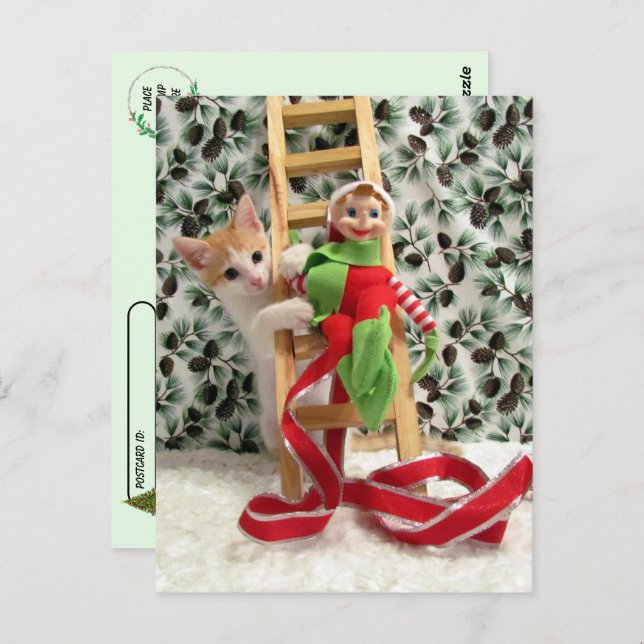 Postcrossing - Annie the Cat and the Christmas Elf Postcard (Front/Back)