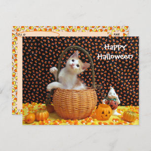 Postcrossing Annie's Curious Halloween Cat  Postcard
